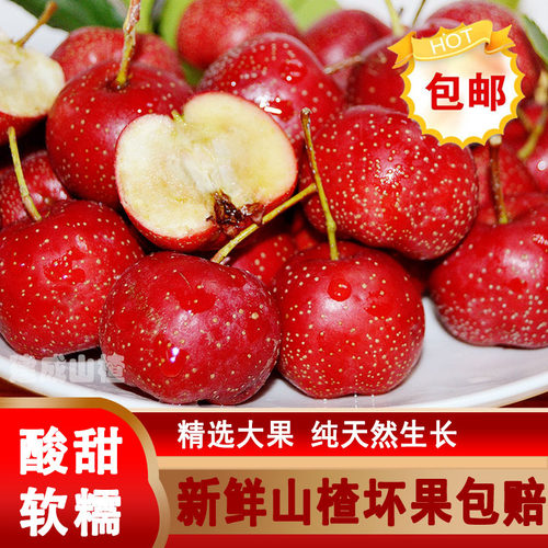 新鲜山楂糖葫芦无添加水果