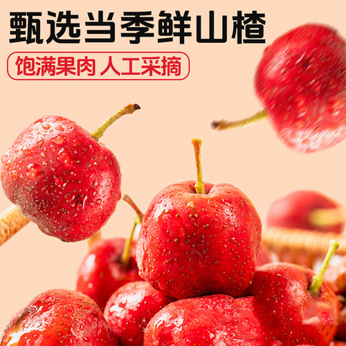 大五棱山楂特大果新鲜现摘山楂鲜果可做糖葫芦山楂干片零食水果