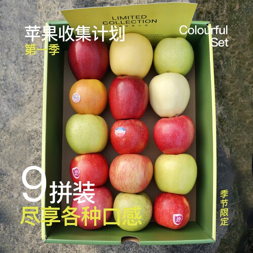 苹果收集计划-礼遇幻境