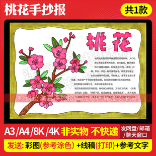 桃花植物记录卡手抄报模板自然笔记植物观察名片电子版线稿539