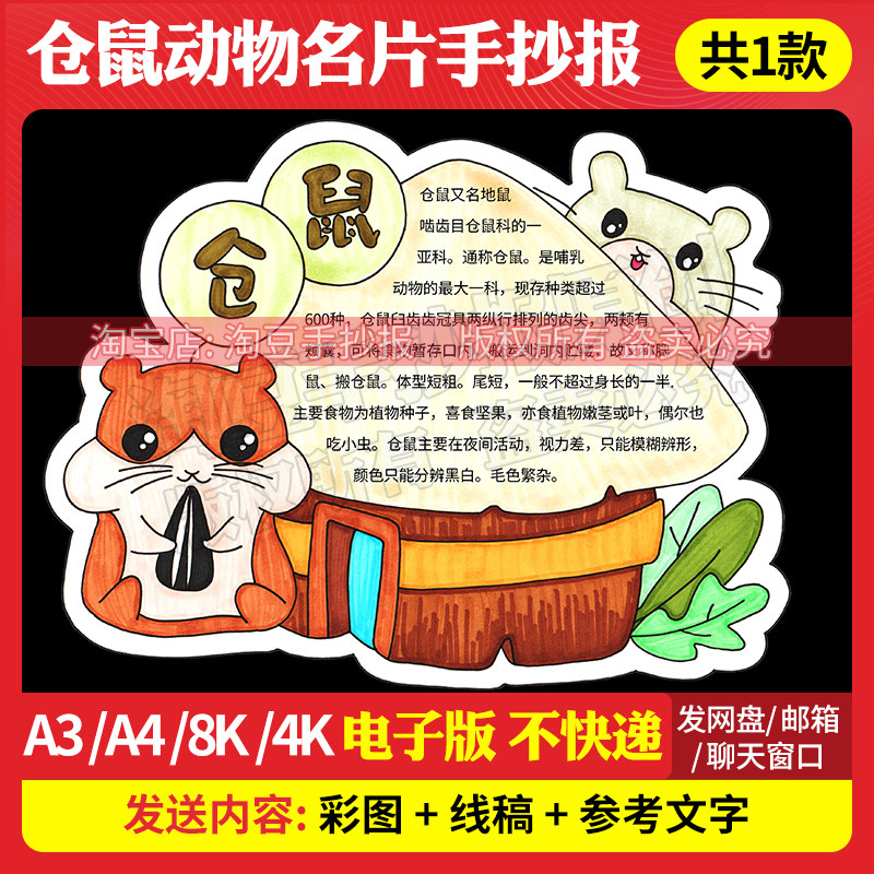 仓鼠手抄报模板观察动物介绍卡片异形卡电子版线稿打印涂色629