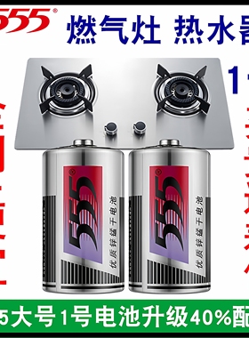 555电池1号电池一号燃气灶热水器电池D型手电筒大号电池1.5v电池