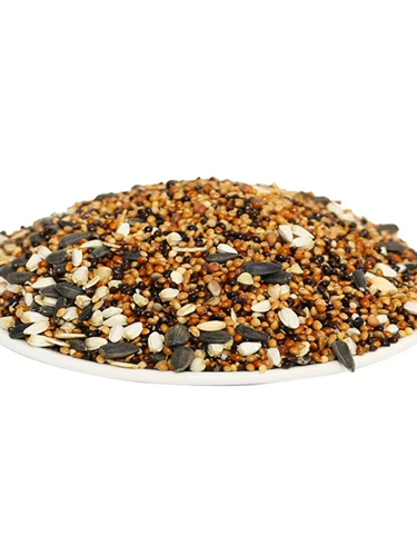 Свежие и не собирая рот, красивые волосы, красивые перья, питание птиц птиц