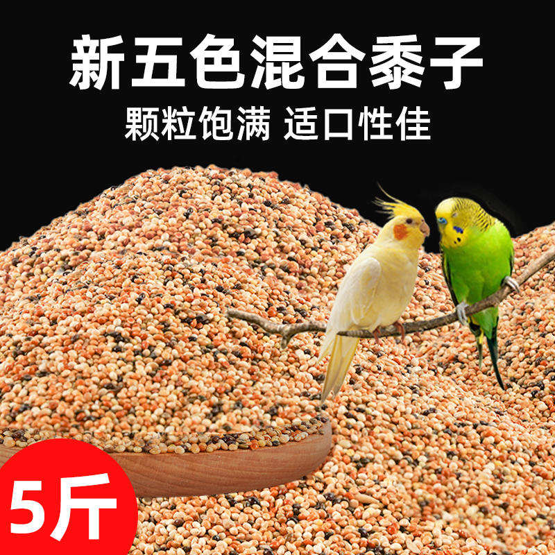 优质五色黍子鹦鹉鸟粮专用粮带壳