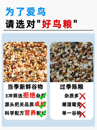 Свежие и не собирая рот, красивые волосы, красивые перья, питание птиц птиц