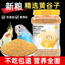 新黄谷子带壳小米虎皮鹦鹉鸟粮饲料食物牡丹玄凤 鸟食专用粮零食