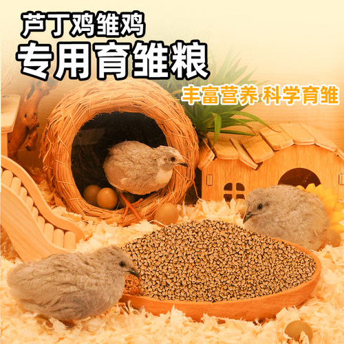 全面营养产蛋多多芦丁鸡高产蛋粮