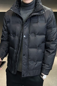 2801 P155 冬季男士白鸭绒羽绒服加厚修身外套图片