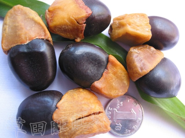 diy原籽缅茄散珠菩提籽种特价