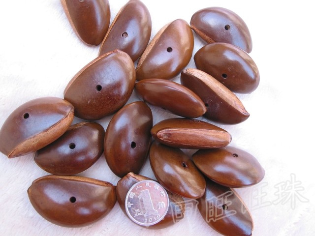 原籽月亮豆散珠菩提籽种一帆风顺