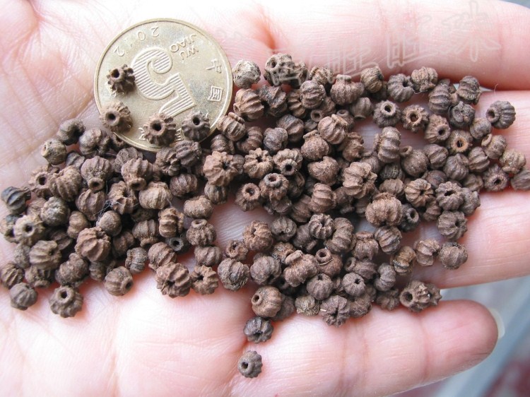 diy原籽小灯笼散珠菩提籽种特价