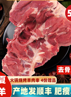 新鲜羊肉宁夏滩羊肉生鲜去骨羊腿肉烧烤食材内蒙古盐池新疆嫩5斤