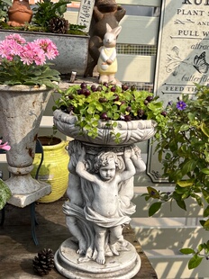 爬藤水陆缸雨林缸假山吸水石造景绿植盆栽喜湿铜锤玉带草带果结果