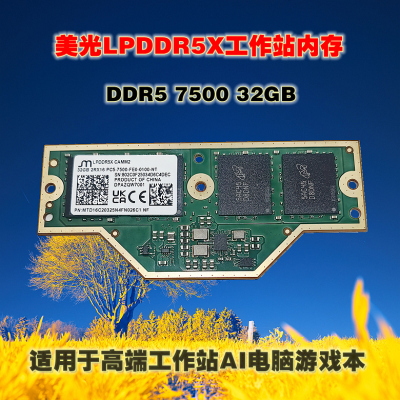全新美光LPDDR5X32GB笔记本内存