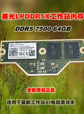 AI电脑LPCAMM2内存64GB美光LPDDR5X DDR5 7500国内行业版现货