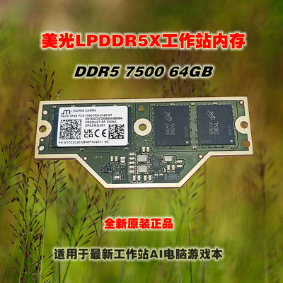 全新美光LPDDR5X64GB内存