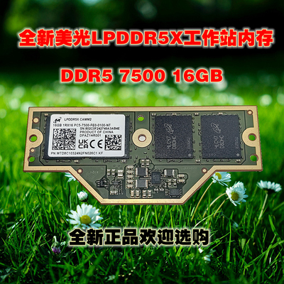 LPCAMM2美光LPDDR5X内存条