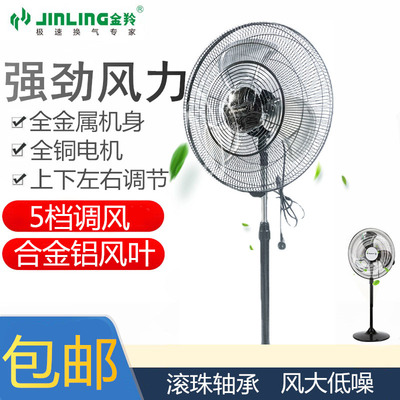金羚机械摇头落地扇强力