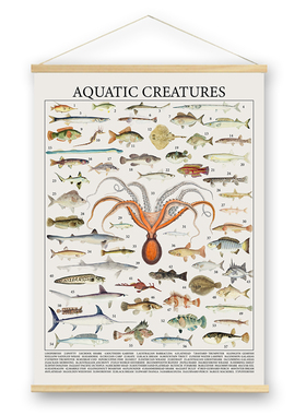 海洋水生生物科普海报 复古鱼类图鉴挂画 儿童房客厅装饰画
