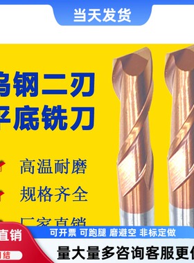 钨钢铣刀2刃键槽铣刀涂层加硬加长两刃合金铣刀d3 d2 d5 d6铣刀