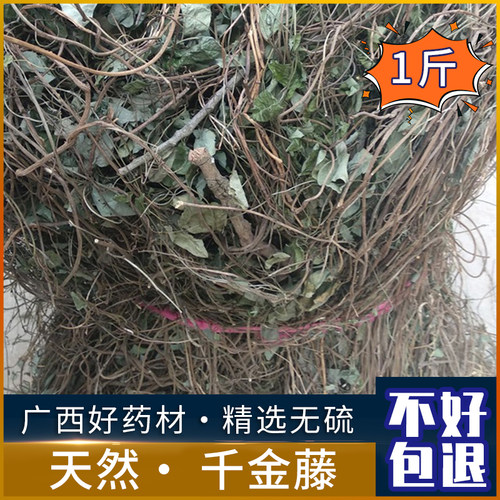 千金藤 粪箕笃 飞天雷公 青蛙藤 雷林嘴天然野生干犁壁藤年中草药