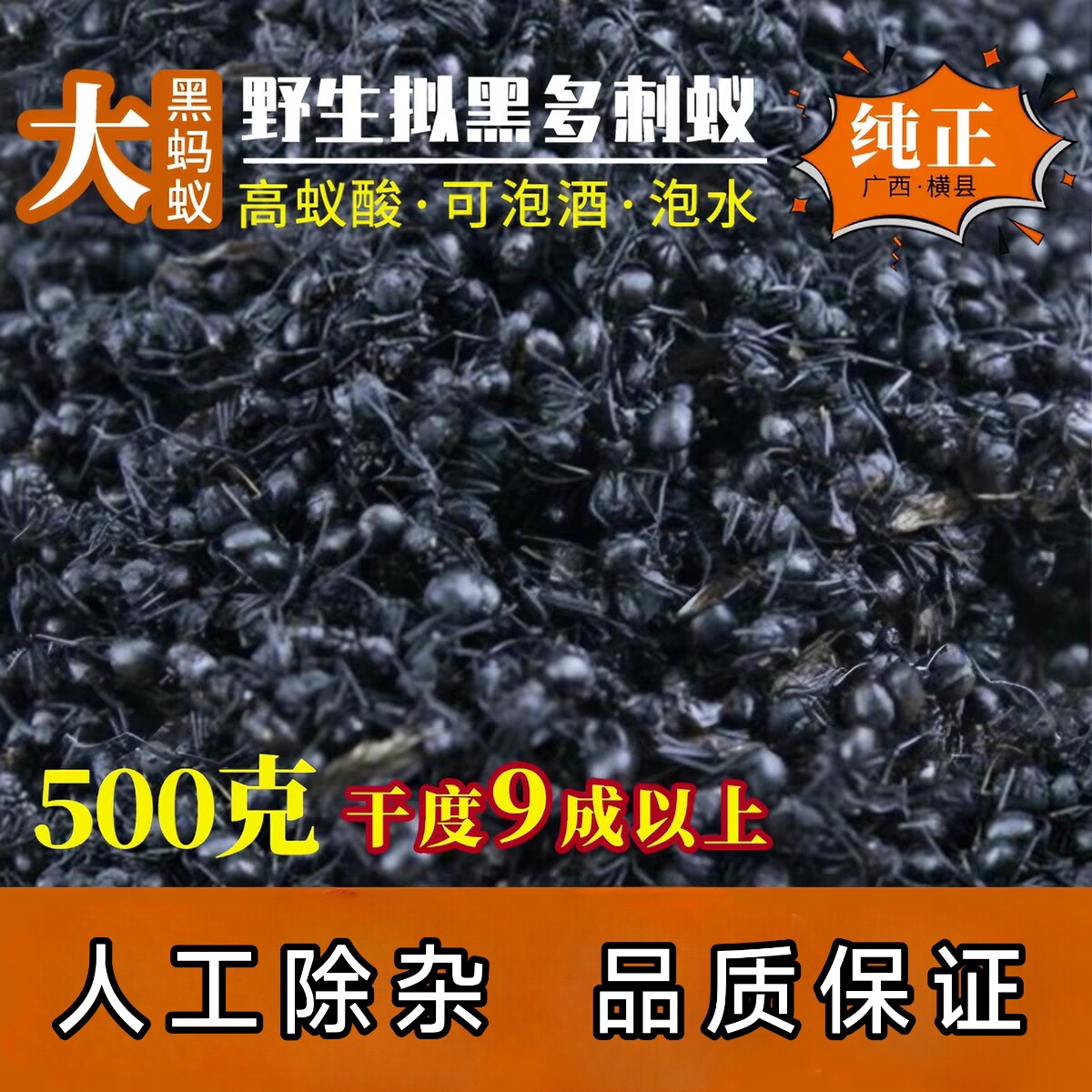 广西大黑蚂蚁干正品野生拟黑多刺蚁黑蚂蚁500g养生泡酒食用可磨粉