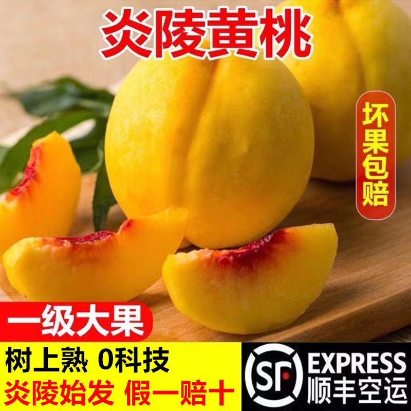 正宗湖南炎陵黄桃高山红心新鲜水果现摘现发株洲特产10斤顺丰包邮