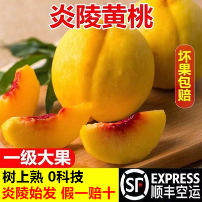 正宗湖南炎陵黄桃高山红心新鲜