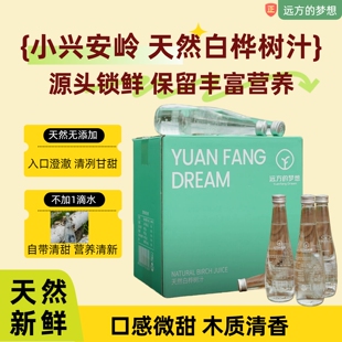 远方的梦想推荐来自小兴安岭天然白桦树汁源头锁鲜保留丰富营养