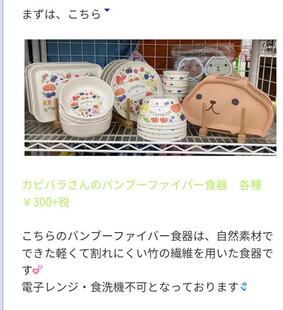 日本限定tyworks水豚君餐具kapibarasan仿瓷碗 密胺汤碗饭碗面碗