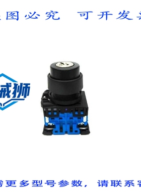 原装供应 AR22JR-2B 250V 6ANSNP