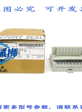原装供应 罗克韦尔AB 1794-TBNF 系列A 230VAC 10A REV.A01 NSMP