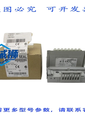 原装供应 罗克韦尔AB 1794-TBNF 系列A 250VAC 10A NSMP