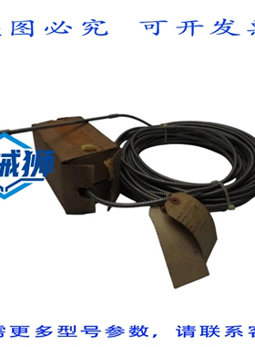 原装供应 FOXBORO 76R-90041 热敏元件 NSNP