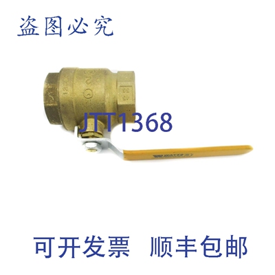 原装供应WATTS FBV-3 300PSIG NSNP