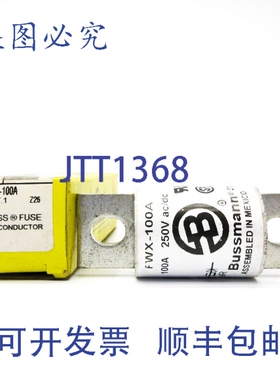 原装供应BUSSMANN FWX-100A 250V 100A NSMP
