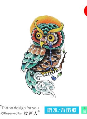 彩色猫头鹰花臂持久正常规格防水