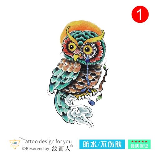 彩色猫头鹰花臂持久正常规格防水