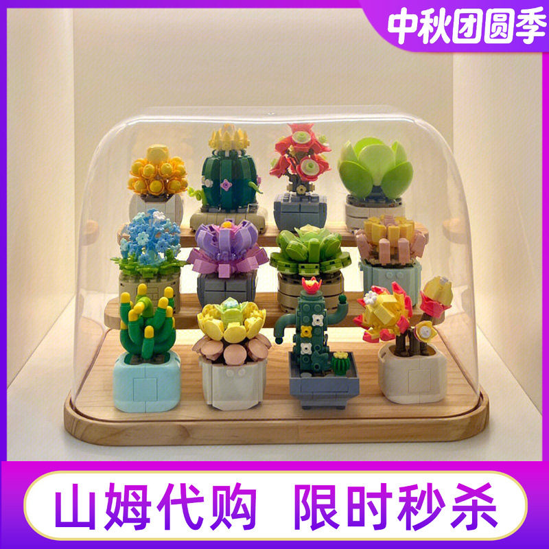 山姆费米治愈多肉积木花节日礼物图片