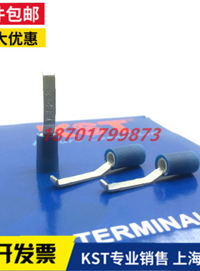 台湾KST K.S健和兴LBNY/LBV1 2 5-3/4.6凹片型护套端头LBVB带钩形
