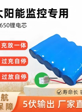 千鸟物联太阳能监控专用锂电池组