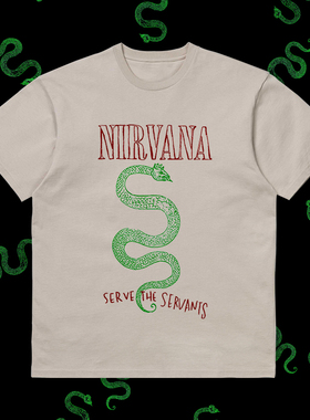 Nirvana涅槃乐队摇滚KurtCobain科特柯本蛇复古做旧宽松短袖T恤男