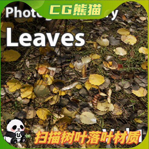 UE5虚幻5 Scanned Materials - Leaves Vol. 1 扫描落叶树叶材质