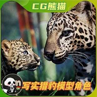 V2.2.1 UE4虚幻5 pack Leopard 写实猎豹豹子模型 Animalia