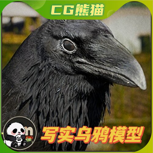 UE4虚幻5 Animalia - Raven V2.3.2 乌鸦角色模型动画