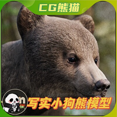 UE4虚幻5 Animalia - Brown Bear (young) 小狗熊模型带动画