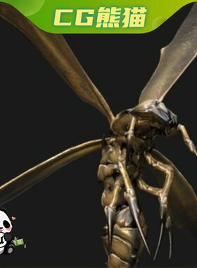 UE4虚幻5 Angry Wasp 奇幻恐怖科幻低多边形游戏愤怒黄蜂角色模型