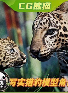 Unity3D Animalia - Leopard (pack) 写实猎豹豹子模型