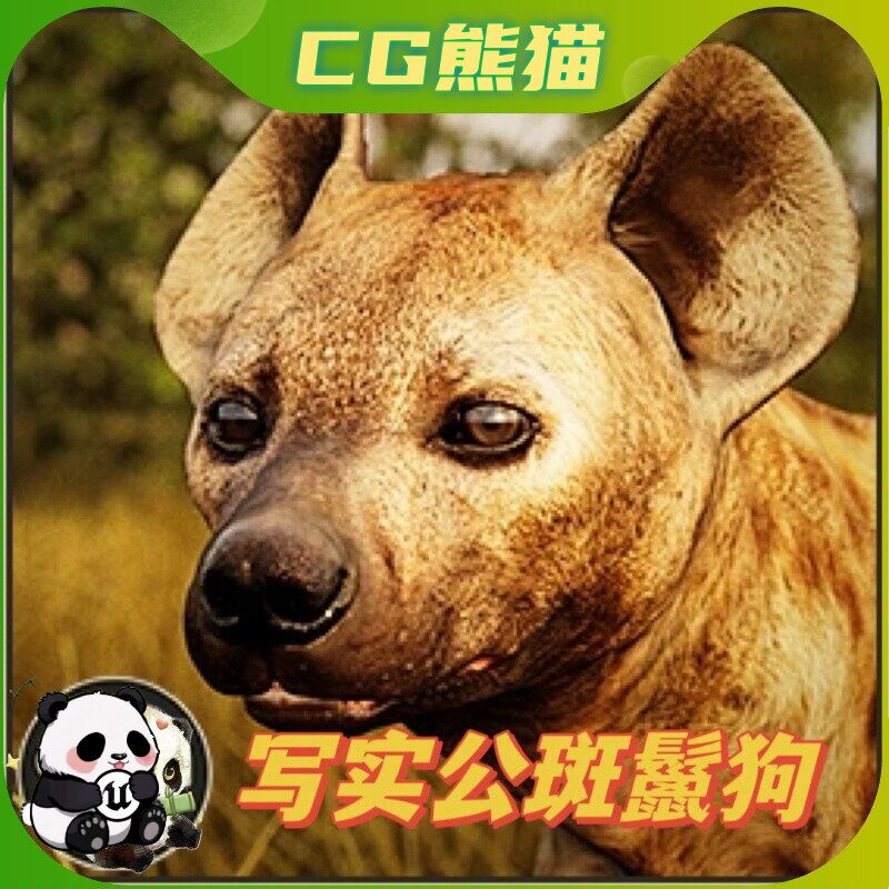 UE4虚幻5 Animalia - Spotted Hyena (male) 写实公斑鬣狗模型