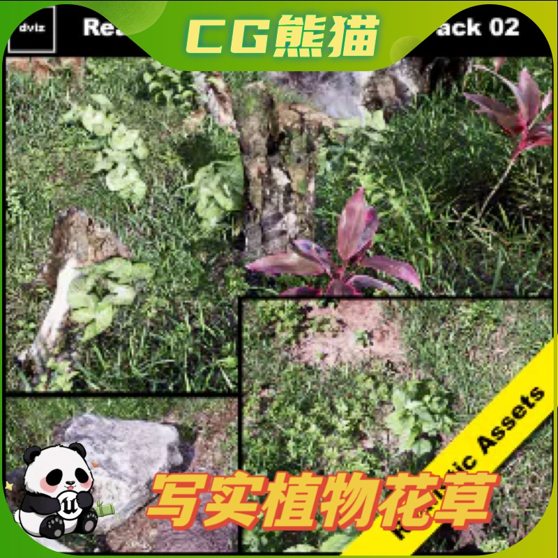 UE4虚幻5 Realistic Plants and Grass Pack 02 写实植物花草道具